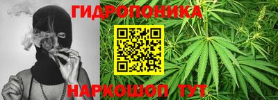спиды Будённовск