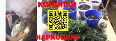 спиды Будённовск