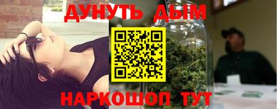 крисы Краснодар