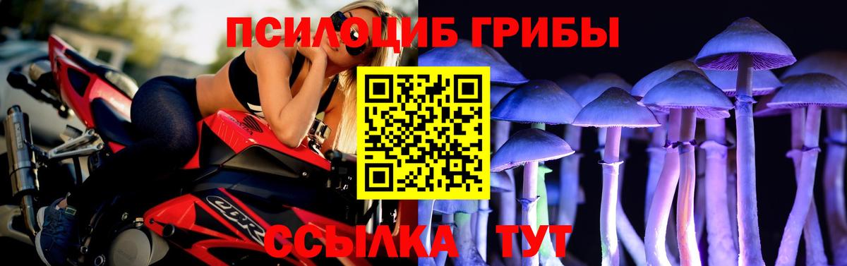 Галлюциногенные грибы Cubensis  Вход с VPN  Балтийск 